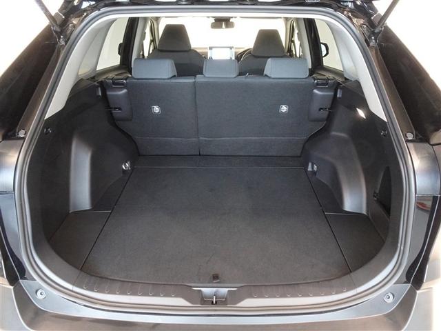 �T�l��Ԏ��ł��\���ȃX�y�[�X�̃g�����N���[���ł��B