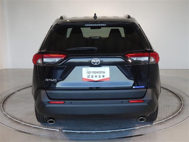 �c�J���̃o�b�N�h�A�ł��A�J�̓����G��ɂ����ł���B