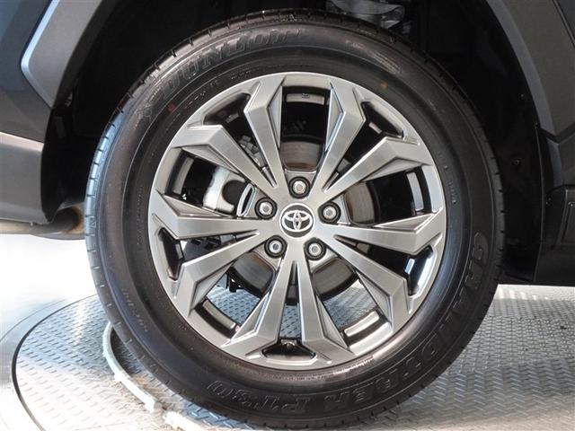 �������Ƒ����������������A�����A���~�𑕔����Ă��܂��B