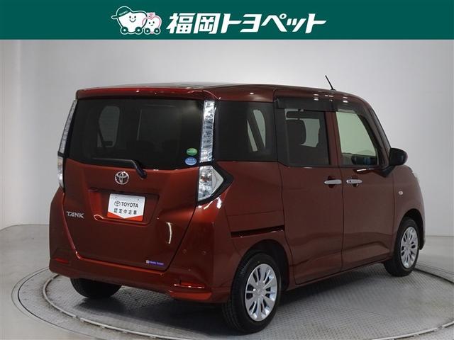 �F�͂��ꂢ�ȃt�@�C�A�[�N�E�H�[�c���b�h���^���b�N�ł��B