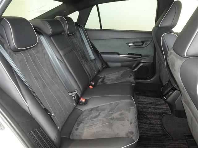 �l�̐G���V�[�g�͔O����ɐ��|�E���L�����{���Ă���܂��B