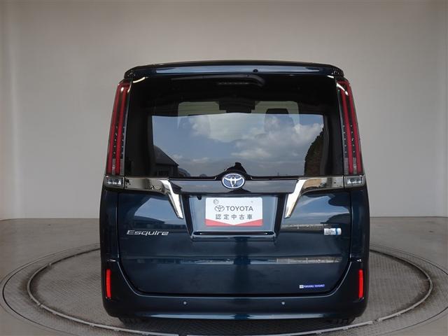 �c�J���̃o�b�N�h�A�ł��A�J�̓����G��ɂ����ł���B