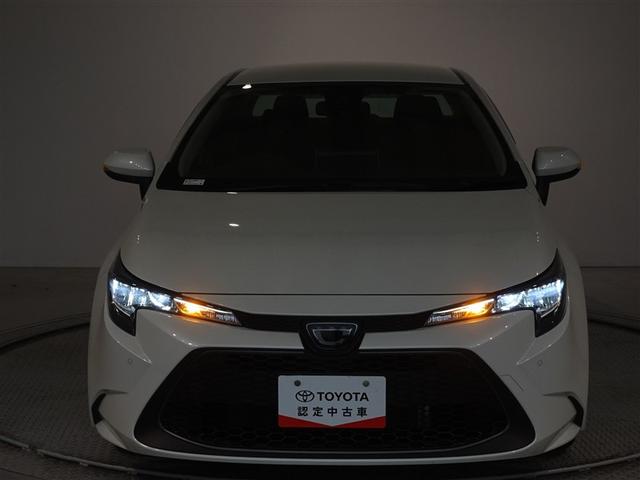 ��Ԃ̃��C�e�B���O��\�����Ă݂܂����B�w�b�h�����v�͂k�d�c�A�ȃG�l�Ŗ��邢�ł���B