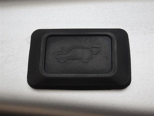 ＲＡＶ４ Ｇ　Ｚパッケージ　衝突被害軽減システム　メモリーナビ　フルセグ　バックカメラ　ＥＴＣ　ＬＥＤヘッドランプ　４ＷＤ　スマートキー（24枚目）