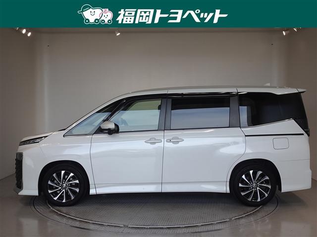 �g���^�̂V�l�̂�~�j�o���A���H�N�V�[�@�r�|�y�����ׂ��܂����B