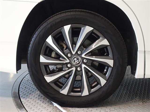 �������Ƒ����������������A�����A���~�𑕔����Ă��܂��B