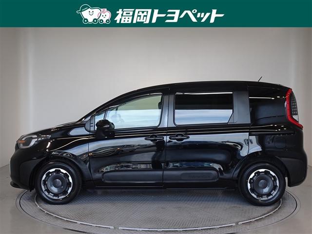 ���s�^�̃V�G���^�@�y�����ׂ��܂����B