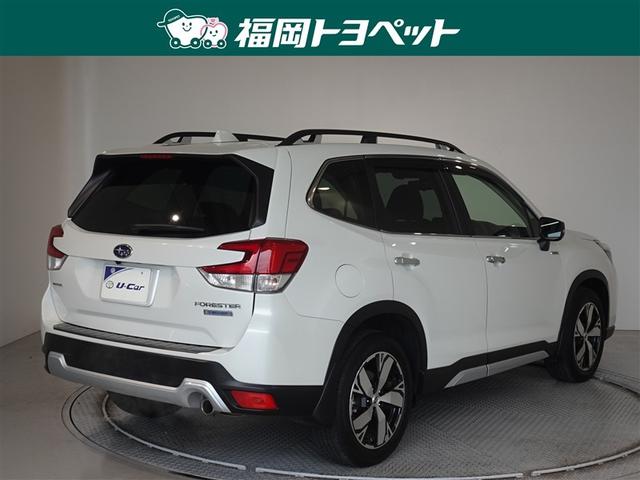 �F�͐l�C�̃N���X�^���z���C�g�p�[���ł��B