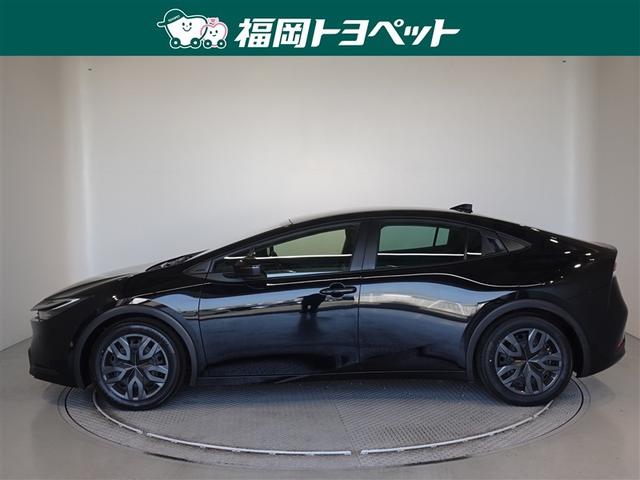 ���s�^�̃v���E�X�@�f�����ׂ��܂����B