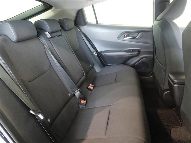 �l�̐G���V�[�g�͔O����ɐ��|�E���L�����{���Ă���܂��B