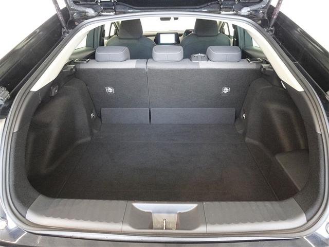 �T�l��Ԏ��ł��\���ȃX�y�[�X�̃g�����N���[���ł��B