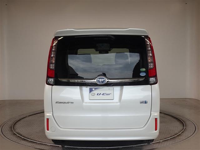 �c�J���̃o�b�N�h�A�ł��A�J�̓����G��ɂ����ł���B