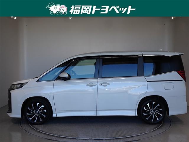 �g���^�̂V�l�̂�~�j�o���A�m�A�@�r�|�y�����ׂ��܂����B