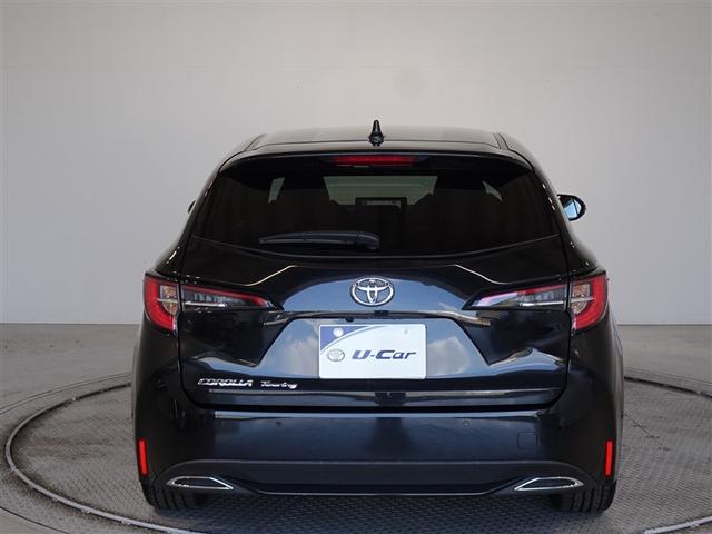 �c�J���̃o�b�N�h�A�ł��A�J�̓����G��ɂ����ł���B