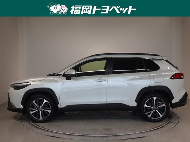 �J���[���̂r�t�u�d�l�A�J���[���N���X�n�C�u���b�h�@�y�����ׂ��܂����B