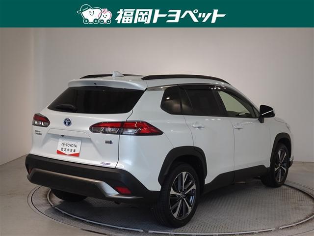 �F�͐l�C�̃v���`�i�z���C�g�p�[���}�C�J�ł��B