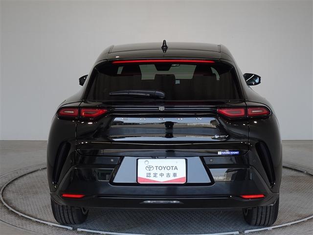 �c�J���̃o�b�N�h�A�ł��A�J�̓����G��ɂ����ł���B