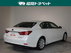 ���Ͽ͵��Υۥ磻�ȥѡ��륯�ꥹ���륷�㥤��Ǥ��� 3