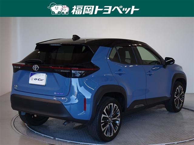 �F�͂��ꂢ�ȃO���C�b�V���u���[�ƃu���b�N�̃c�[�g���ł��B