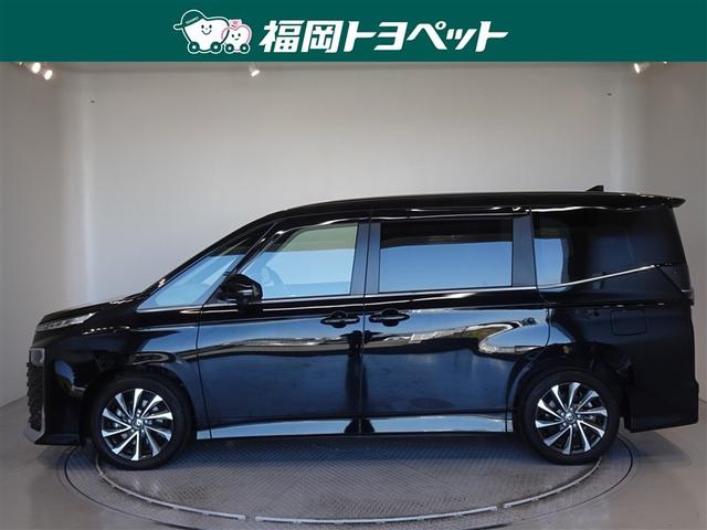 �g���^�̂V�l�̂�~�j�o���A���H�N�V�[�@�r�|�y�����ׂ��܂����B