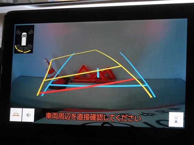 �o�b�N�K�C�h���j�^�[�𑕔����Ă��܂��A�Ԍɓ�������N���N�ł��B