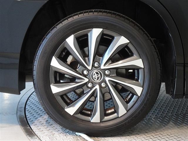 �������Ƒ����������������A�����A���~�𑕔����Ă��܂��B