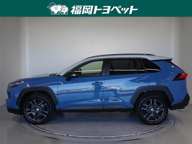 �g���^�̐l�C�r�t�u�A�q�`�u�S�n�C�u���b�h�@�A�h�x���`���[�����ׂ��܂����B