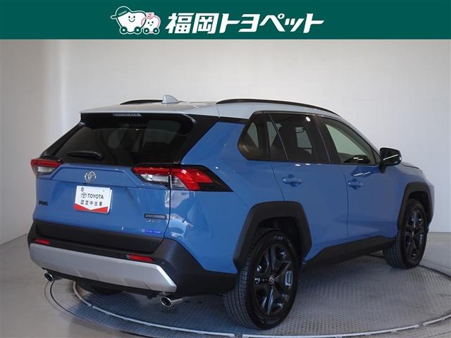 �F�͂��ꂢ�ȃO���C�b�V���u���[�ƃO���[�̃c�[�g���ł��B