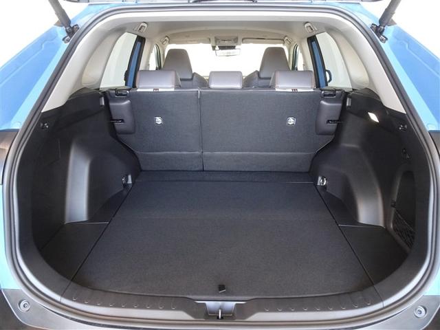 �T�l��Ԏ��ł��\���ȃX�y�[�X�̃g�����N���[���ł��B