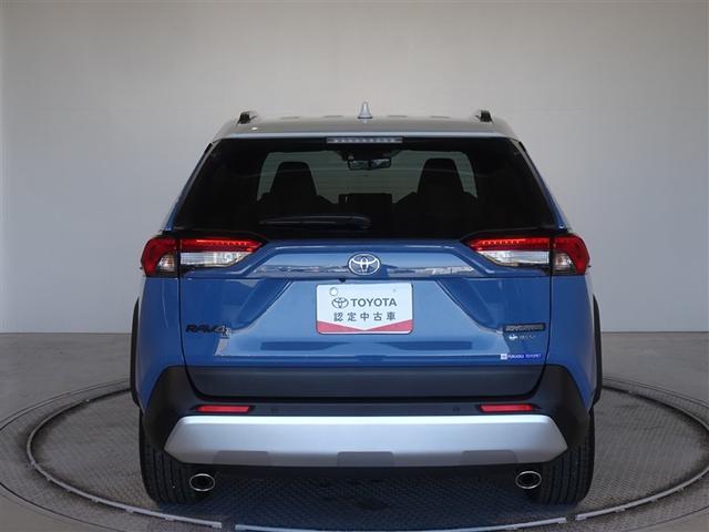 �c�J���̃o�b�N�h�A�ł��A�J�̓����G��ɂ����ł���B