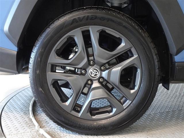 �������Ƒ����������������A�����A���~�𑕔����Ă��܂��B