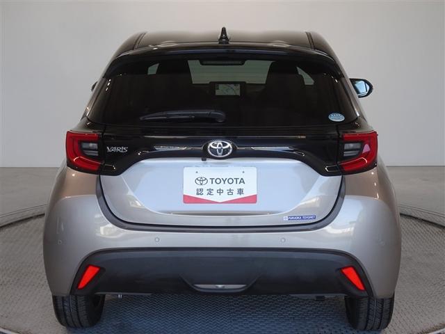 �c�J���̃o�b�N�h�A�ł��A�J�̓����G��ɂ����ł���B