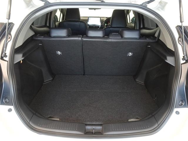 �R���p�N�g�ł����A����g���Ȃ�\���ȃX�y�[�X�̃g�����N���[���ł��B