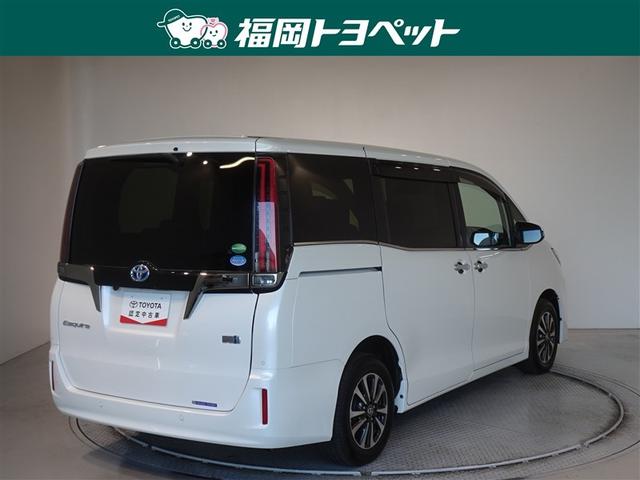 �F�͐l�C�̃z���C�g�p�[���N���X�^���V���C���ł��B