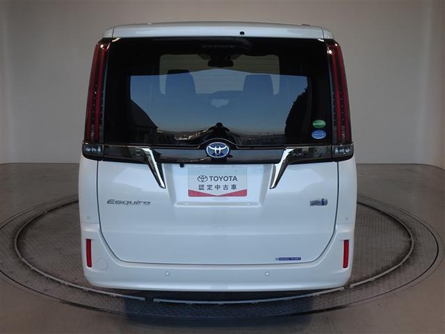 �c�J���̃o�b�N�h�A�ł��A�J�̓����G��ɂ����ł���B