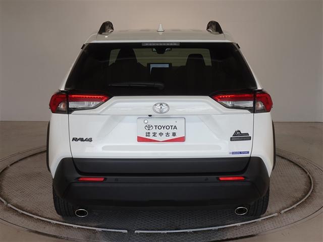 �c�J���̃o�b�N�h�A�ł��A�J�̓����G��ɂ����ł���B