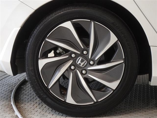 �������Ƒ����������������A�����A���~�𑕔����Ă��܂��B