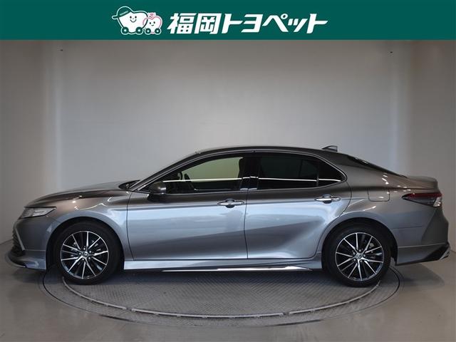 �g���^�̏㋉�Z�_���A�J�����@�f�@���U�[�p�b�P�[�W�����ׂ��܂����B