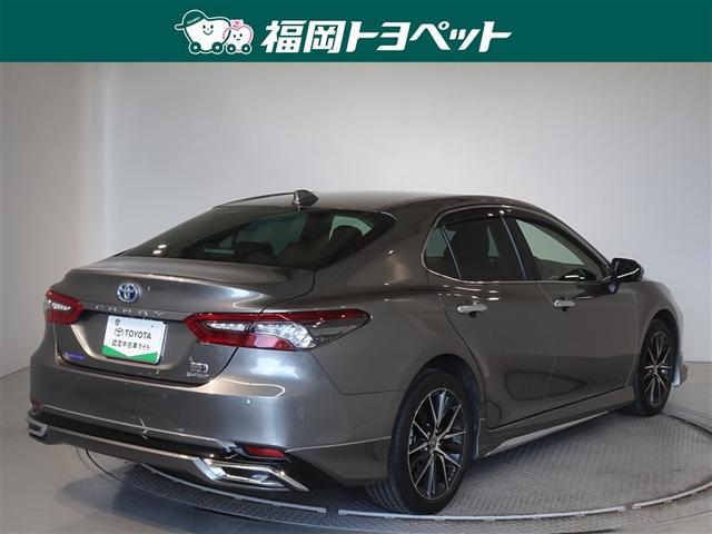 �F�͐����ȃv���V���X���^���ł��B