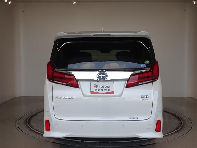 �c�J���̃o�b�N�h�A�ł��A�J�̓����G��ɂ����ł���B