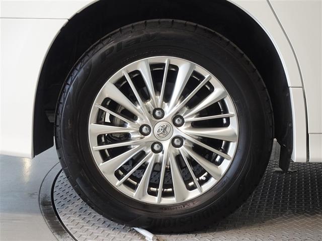 �������Ƒ����������������A�����A���~�𑕔����Ă��܂��B