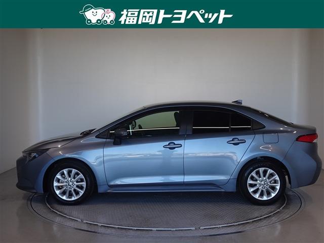 �g���^�̐l�C�J���[���V���[�Y�A�J���[���Z�_���@�r�����ׂ��܂����B