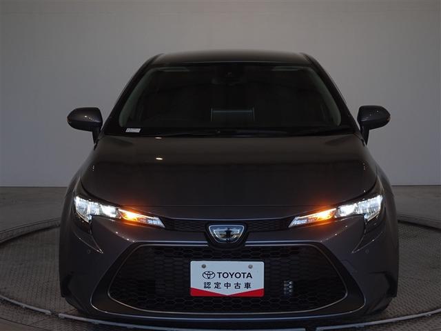 ��Ԃ̃��C�e�B���O��\�����Ă݂܂����B�w�b�h�����v�͂k�d�c�A�ȃG�l�Ŗ��邢�ł���B