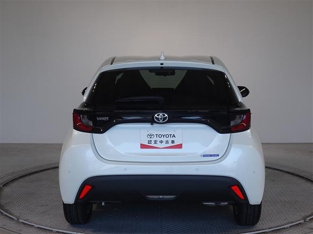 �c�J���̃o�b�N�h�A�ł��A�J�̓����G��ɂ����ł���B