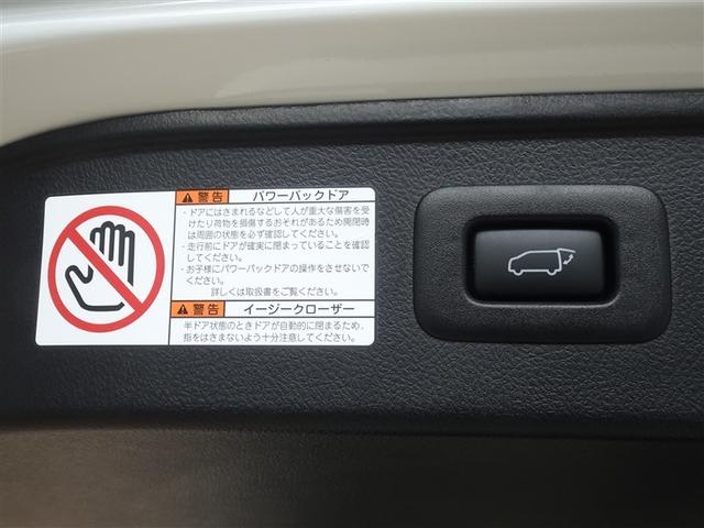 アルファード ２．５Ｓ　Ｃパッケージ　衝突被害軽減システム　メモリーナビ　フルセグ　後席モニター　バックカメラ　ＥＴＣ　サンルーフ　両側電動スライド　３列シート　ＬＥＤヘッドランプ　スマートキー　乗車定員７人（26枚目）