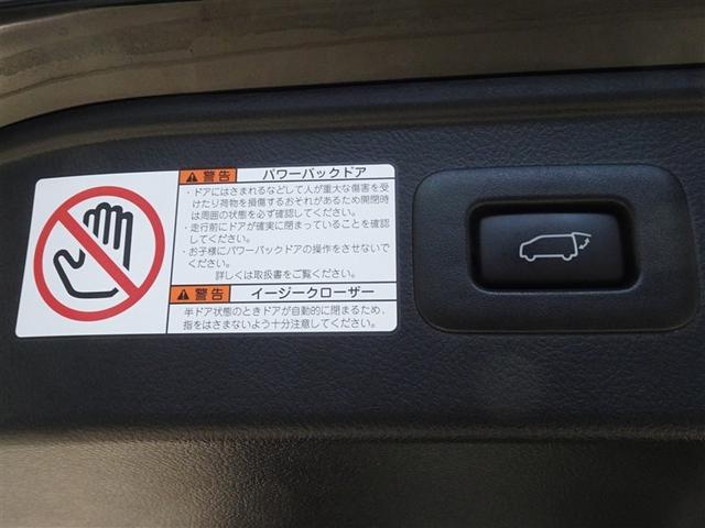 アルファード 2.5S タイプゴールド 衝突被害軽減システム フルセグ 後席モニター バックカメラ ETC サンルーフ 両側電動スライド 3列シート LEDヘッドランプ スマートキー 乗車定員7人(24枚目)