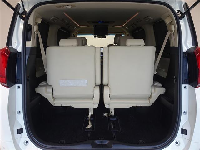 �V�l��Ԏ��ł��\���ȃX�y�[�X�̃g�����N���[���ł��B