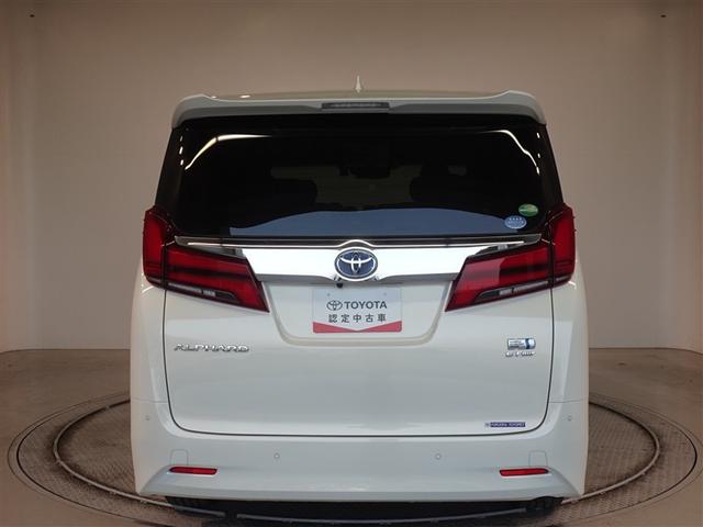 �c�J���̃o�b�N�h�A�ł��A�J�̓����G��ɂ����ł���B