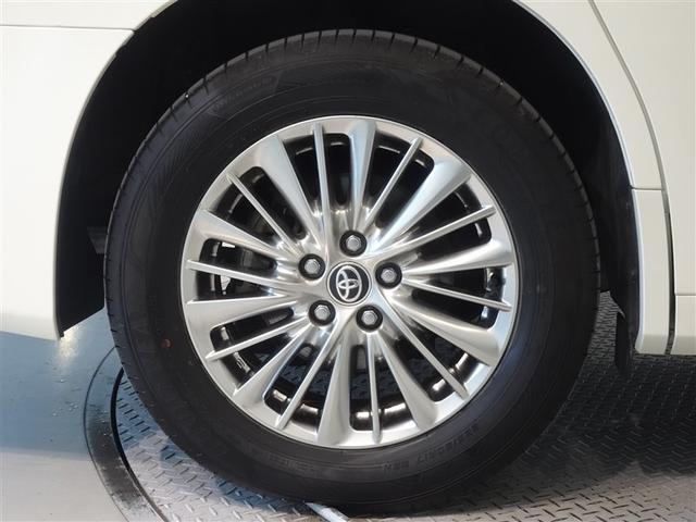 �������Ƒ����������������A�����A���~�𑕔����Ă��܂��B