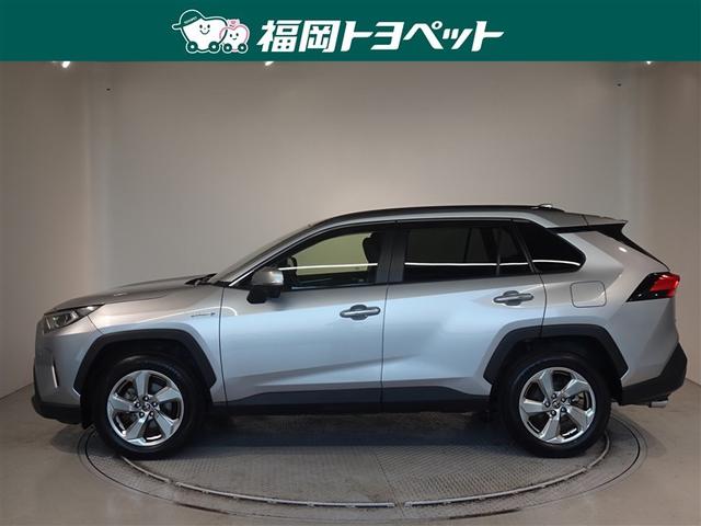 �g���^�̐l�C�r�t�u�A�q�`�u�S�n�C�u���b�h�@�f�����ׂ��܂����B